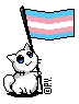 Creu holding trans flag